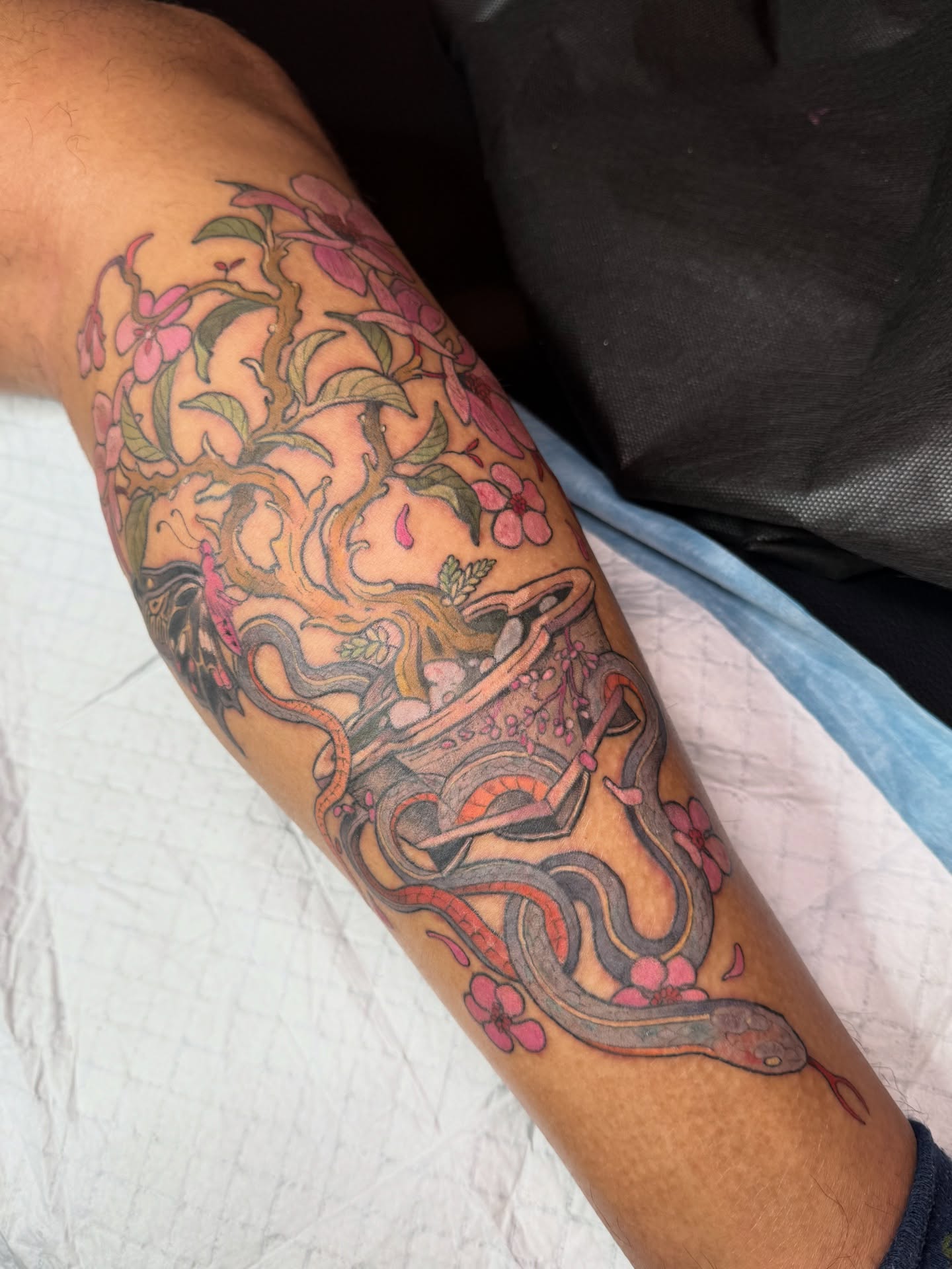 Bonsai cherry tree + snake for my lil bro !! 🖤 lines healed, colours are fresh. I loooved drawing and tattooing this and