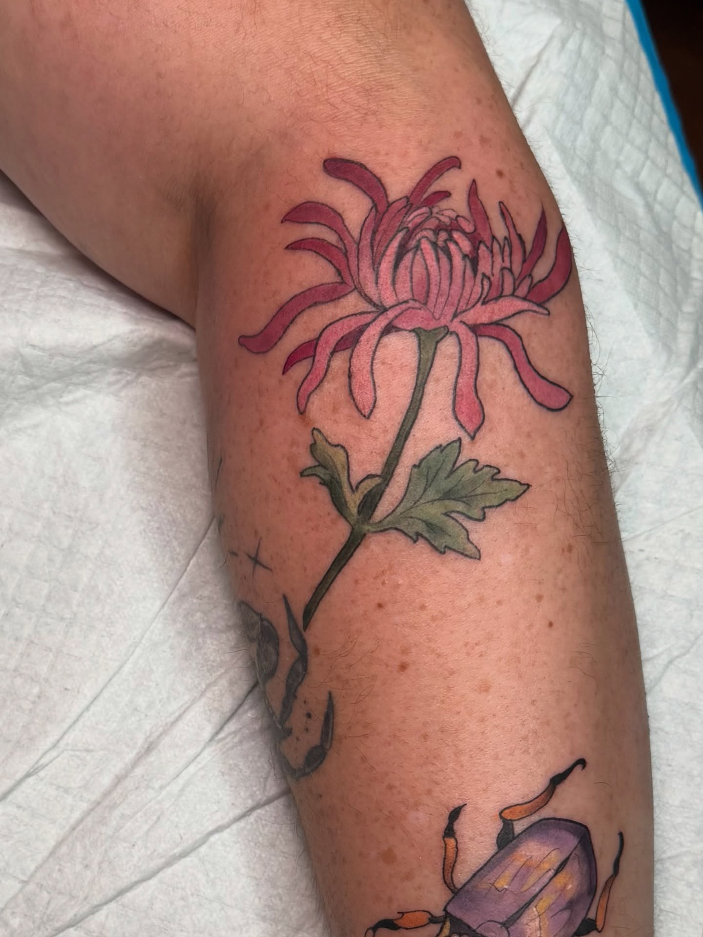 Chrysanthemum and jewel bug from my flash! Thanks so much 🖤