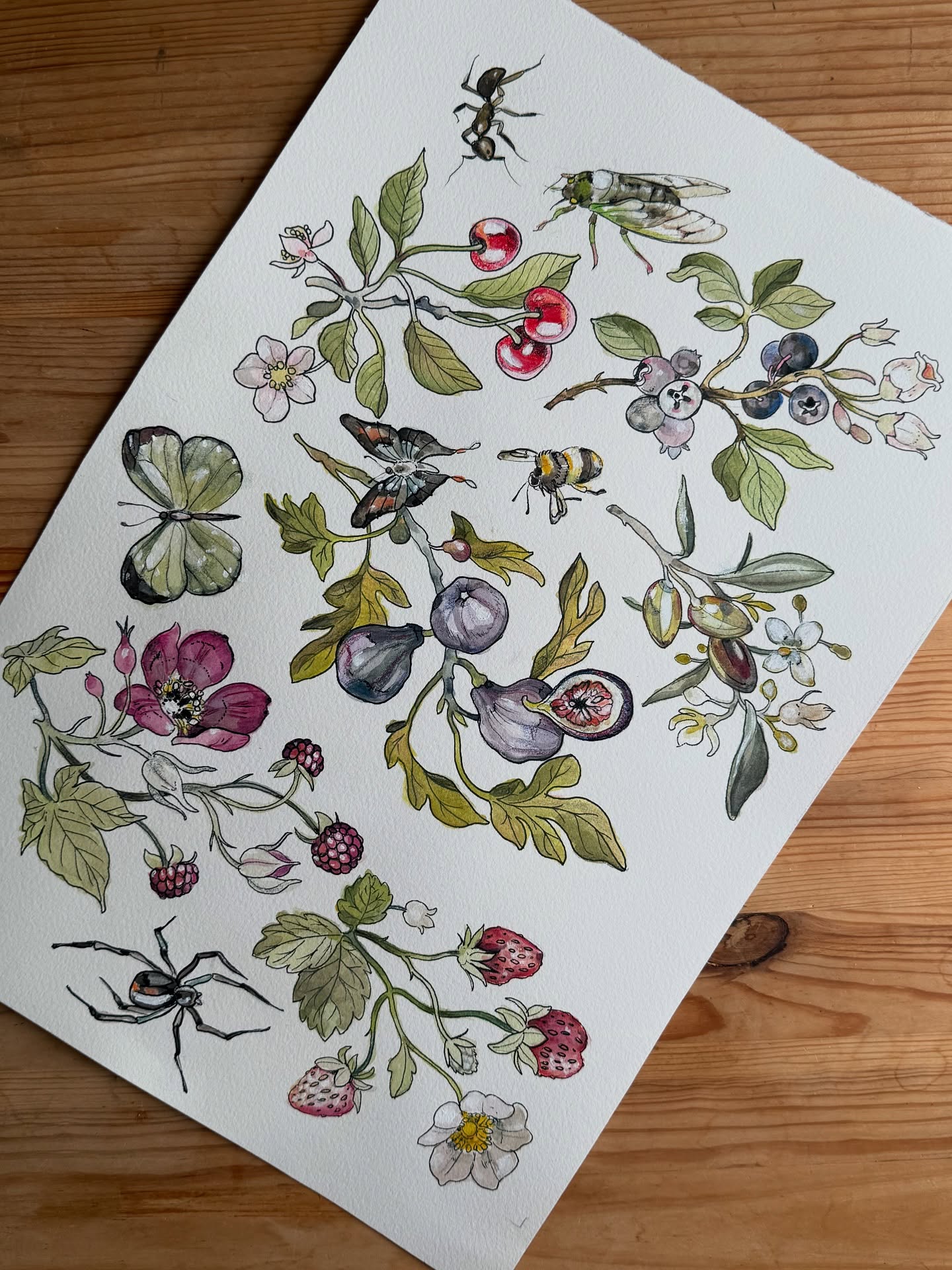 Fruity flash (one-offs) 🍒🍓🫒 all except the blueberries are available to be tattooed! DM or email me to book☺️scaledwings