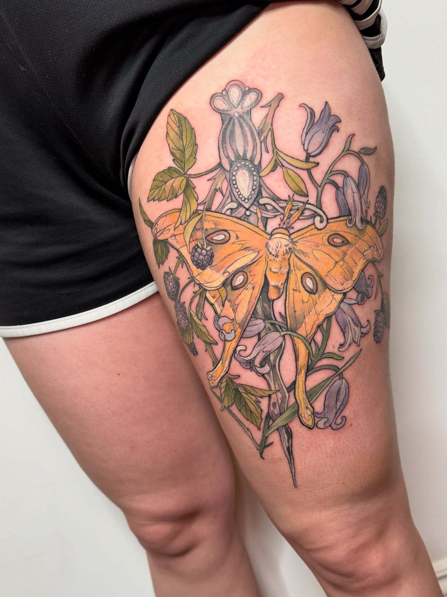 Hercules moth & sword with blackberries and bluebells - thanks so much! I love tattooing moths 🖤🖤