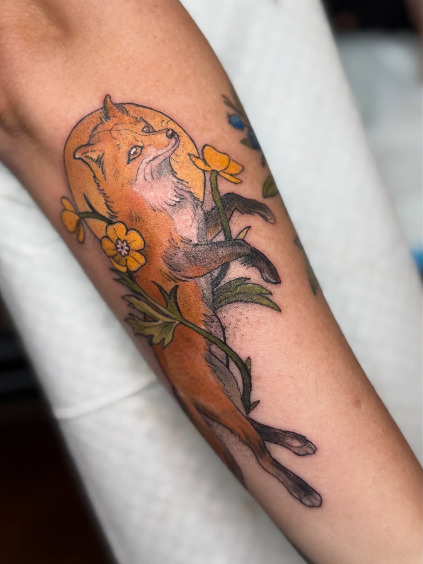 Lil fox 🦊🌼