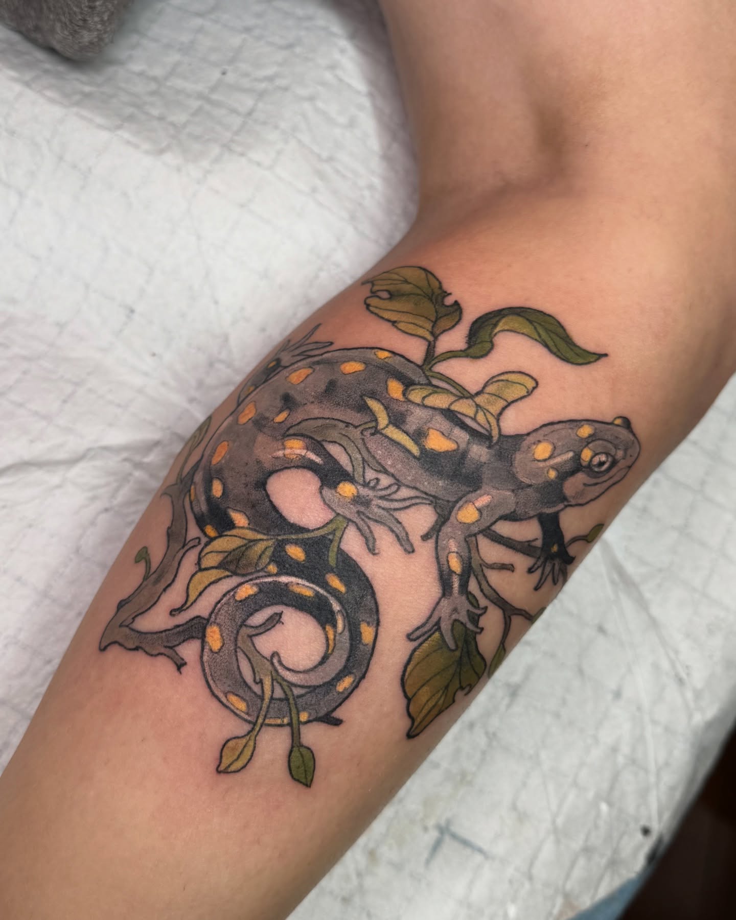 🦎Matching but different salamander friends —> swipe for better pics of each one! thank you guys so much for the fun proj