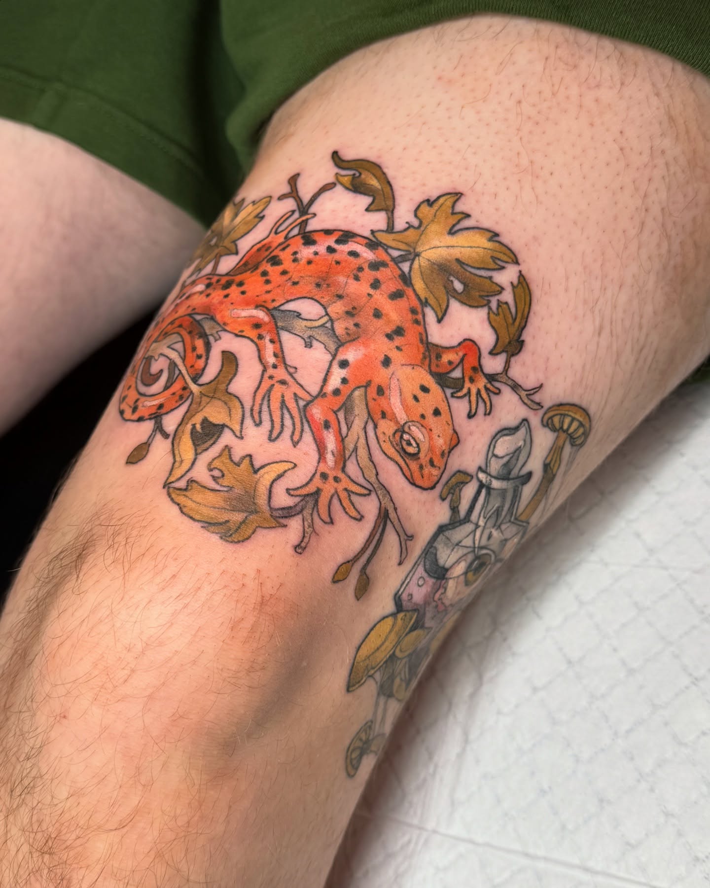 🦎Matching but different salamander friends —> swipe for better pics of each one! thank you guys so much for the fun proj