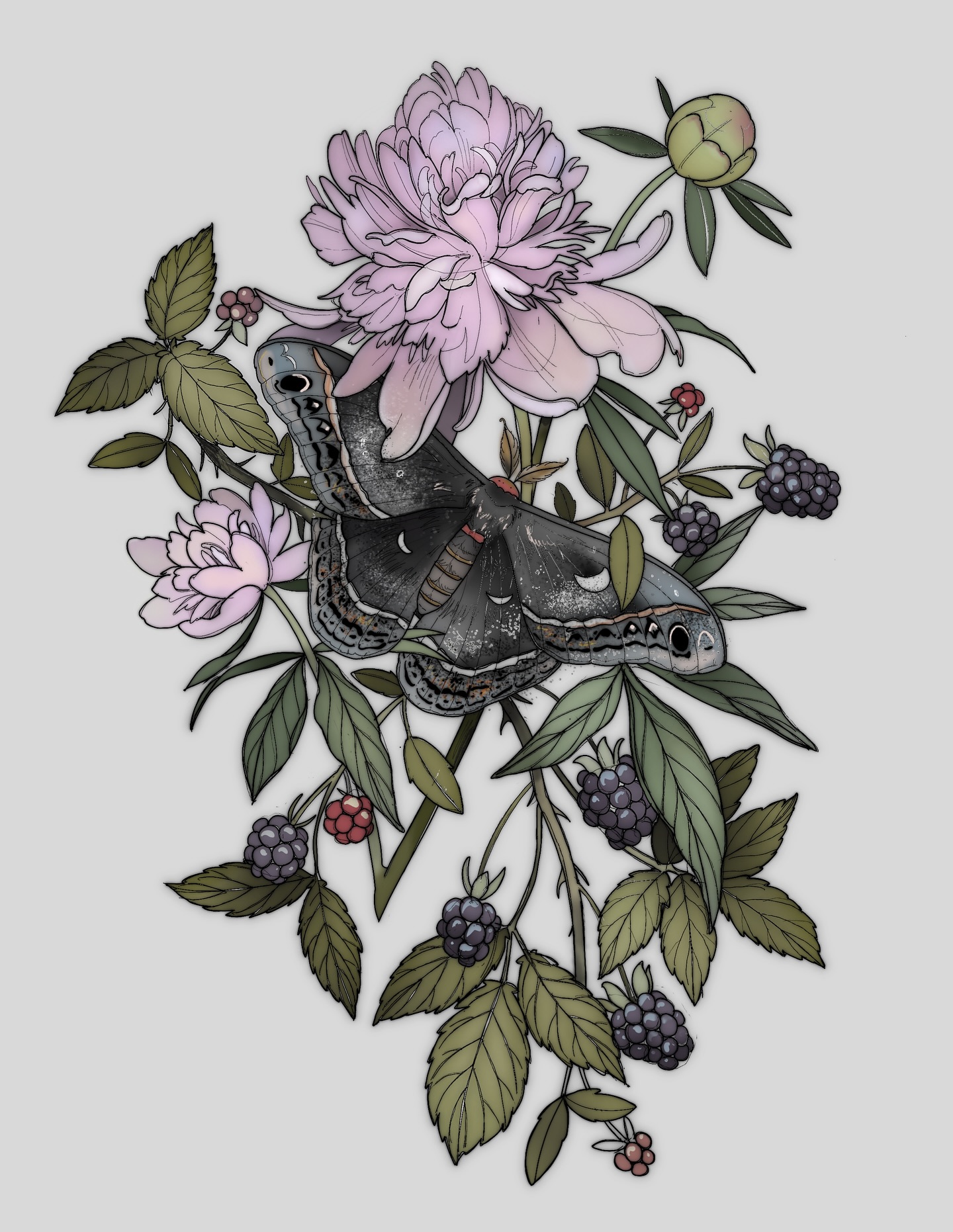 Moth with flowers and berries