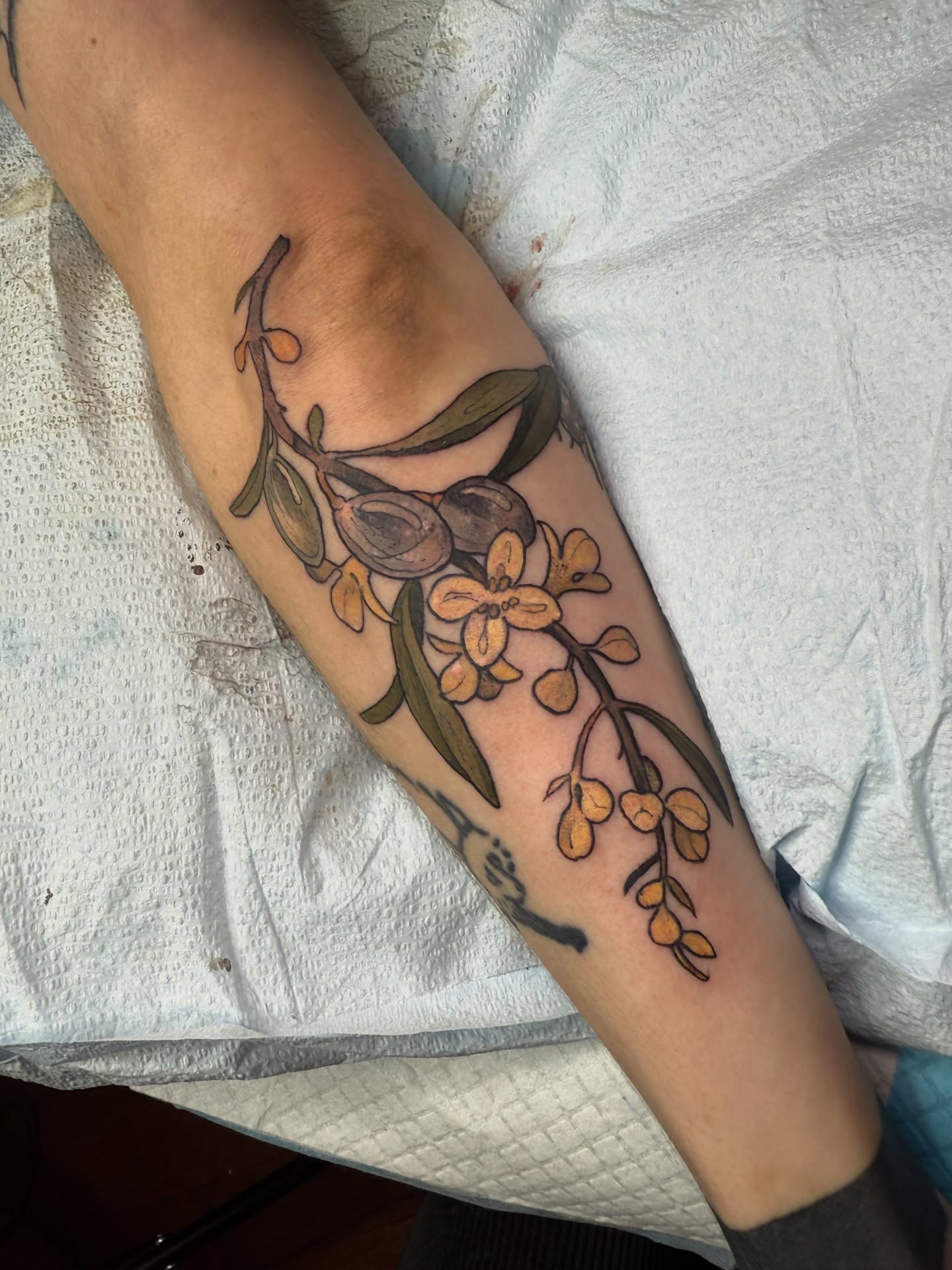 Olive branch framing the elbow with a cicada buddy Thanks so much 🖤