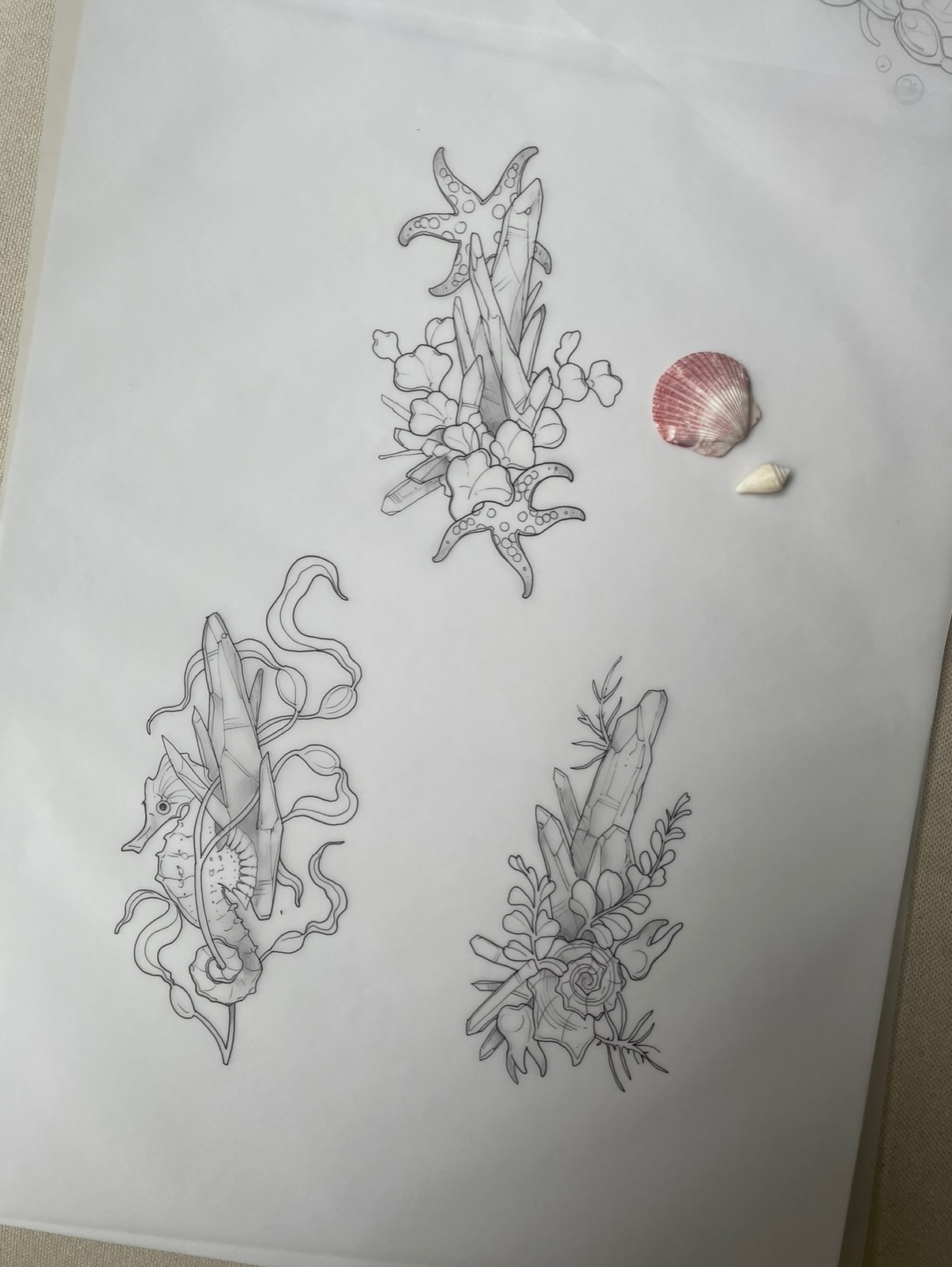 Seashell for the amazingly skilled @pj_eagle ! Was so fun chatting (gossiping) with ya! I get so nervous tattooing other