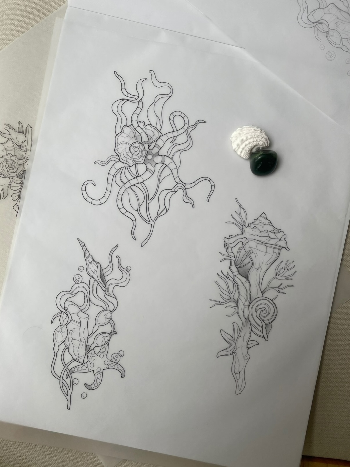 Seashell for the amazingly skilled @pj_eagle ! Was so fun chatting (gossiping) with ya! I get so nervous tattooing other