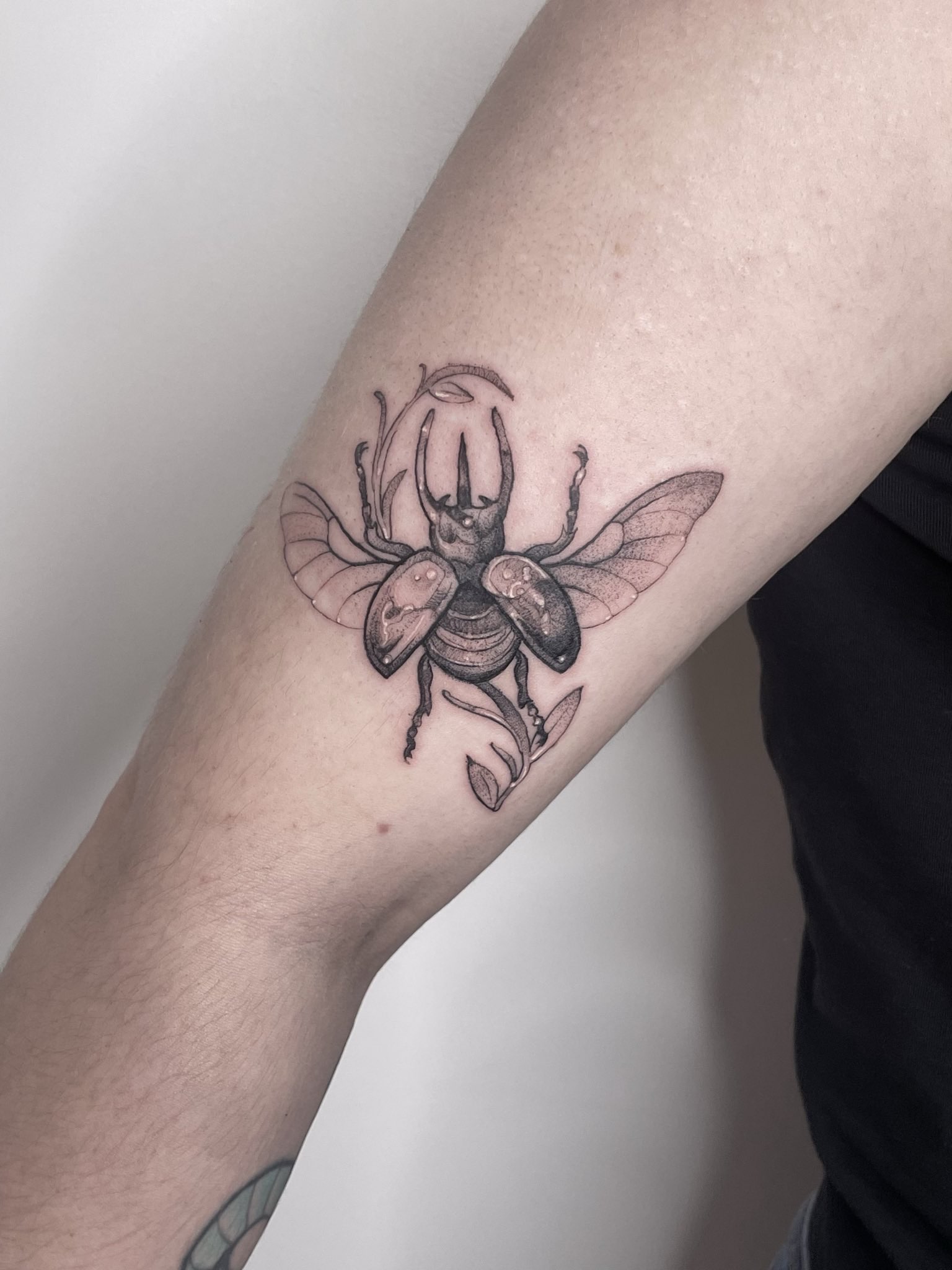 Detailed beetle tattoo